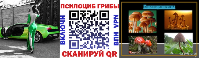наркошоп  Ульяновск  Псилоцибиновые грибы ЛСД 