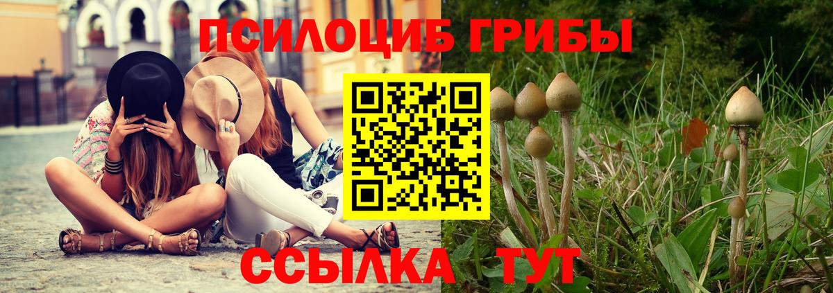 Галлюциногенные грибы Magic Shrooms Ульяновск